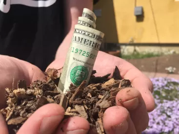 Hands holding garden dirt with a dollar bill