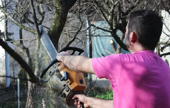 man using chainsaw to cut off tree branch